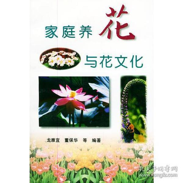 家庭养花与花文化