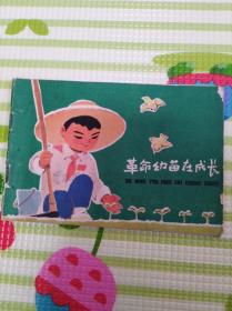 革命幼苗在成长