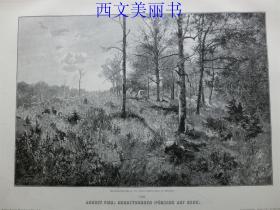 【现货 包邮】1887年木刻木刻版画《秋天的早晨》（Herbstmorgen ）  尺寸约41*29厘米（货号 18031）