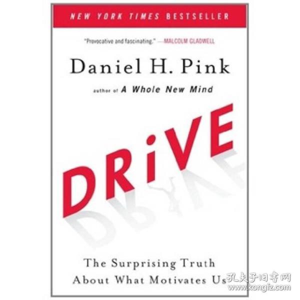 Drive: The Surprising Truth about What Motivates Us