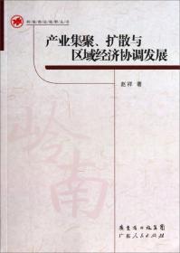 岭南理论视野丛书：产业集聚、扩散与区域经济协调发展