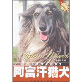 阿富汗猎犬