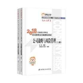 注册会计师2018教材东奥轻松过关1应试指导及全真模拟测试 公司战略与风险管理 上下册