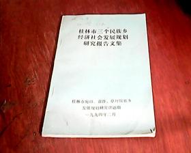 桂林市三个民族乡经济社会发展规划研究报告文集