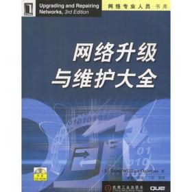 网络专业人员书库:网络升级与维护大全(附光盘)