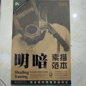 组合静物明暗素描范本