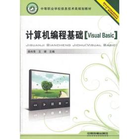计算机编程基础 Visual Basic