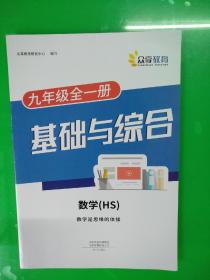 基础与综合 数学(HS)  九年级  全一册