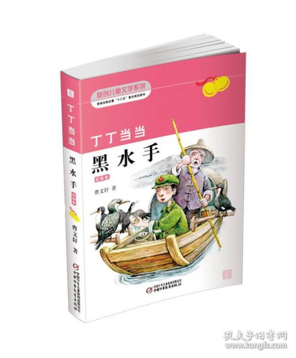 新创儿童文学系列：丁丁当当·黑水手