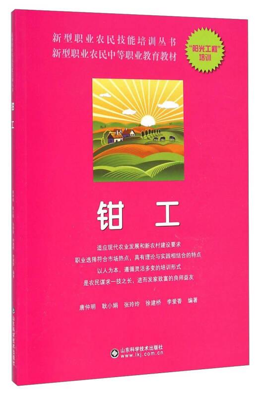 新型职业农民技能培训丛书：钳工