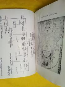 北京妙应寺白塔（精装）藏文 孔网孤本