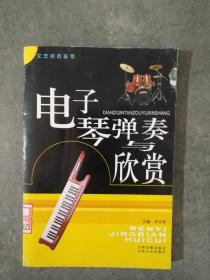 电子琴弹奏与欣赏