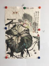 河南画家孙宗惠精美国画荷叶图一幅46*71CM