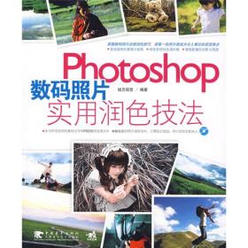 Photoshop数码照片实用润色技法