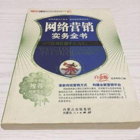 网络营销实务全书：突破传统营销平台的全新模式