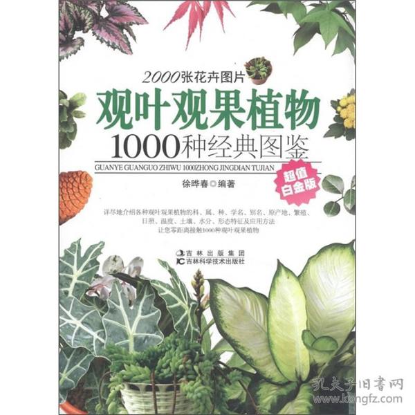 观叶观果植物1000种经典图鉴（超值白金版）