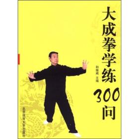 大成拳学练300问