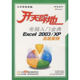 开天辟地：电脑入门金典Excel 2003/XP高级案例