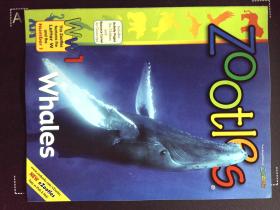 Zoobooks ZOOTLES whales 英文儿童动物摄影鲸鱼杂志