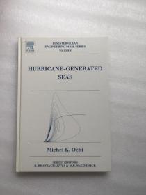 hurricane generated seas（飓风产生的海洋——埃尔塞维尔海洋工程丛书系列 第8卷）