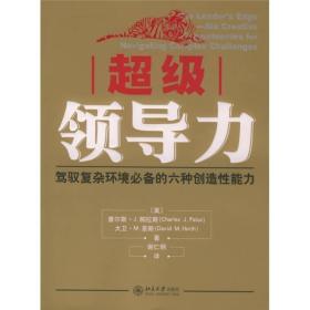 超级领导力：驾驭复杂环境必备的六种创造性能力——时代光华经管大系