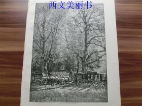 【现货 包邮】1890年木刻版画《春天里的羊群》(Ausziehen der Heerde)   尺寸约41*29厘米（货号 18033）