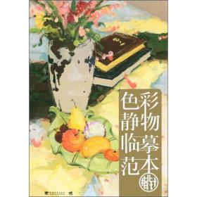 色彩静物临摹范本指北针（中青雄狮出品）