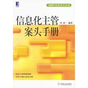 信息化主管案头手册---AMT信息动力丛书