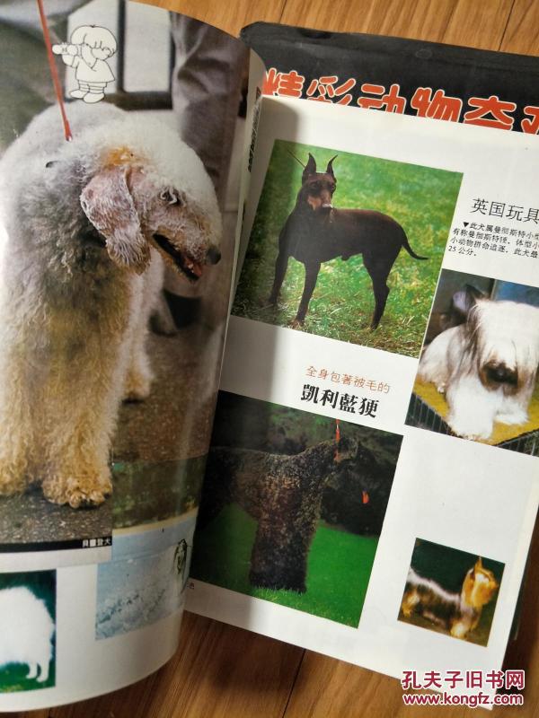 《世界名犬》铜版纸彩印，世界名犬大全！