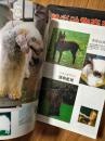 《世界名犬》铜版纸彩印，世界名犬大全！