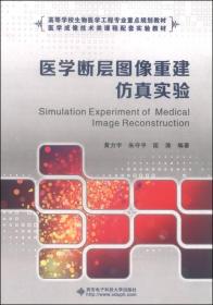 医学断层图像重建仿真实验