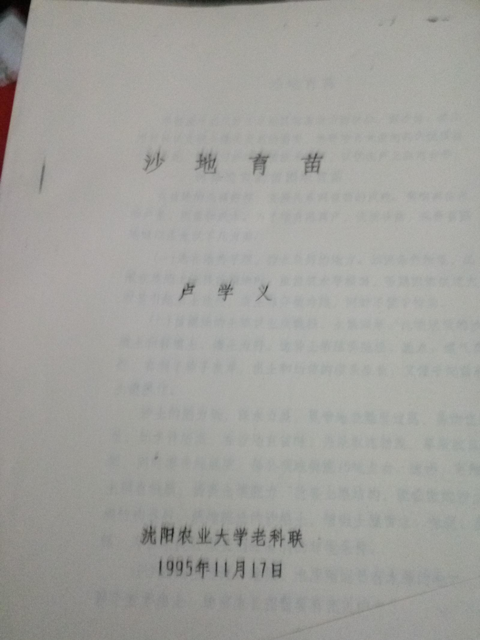 沙地育苗