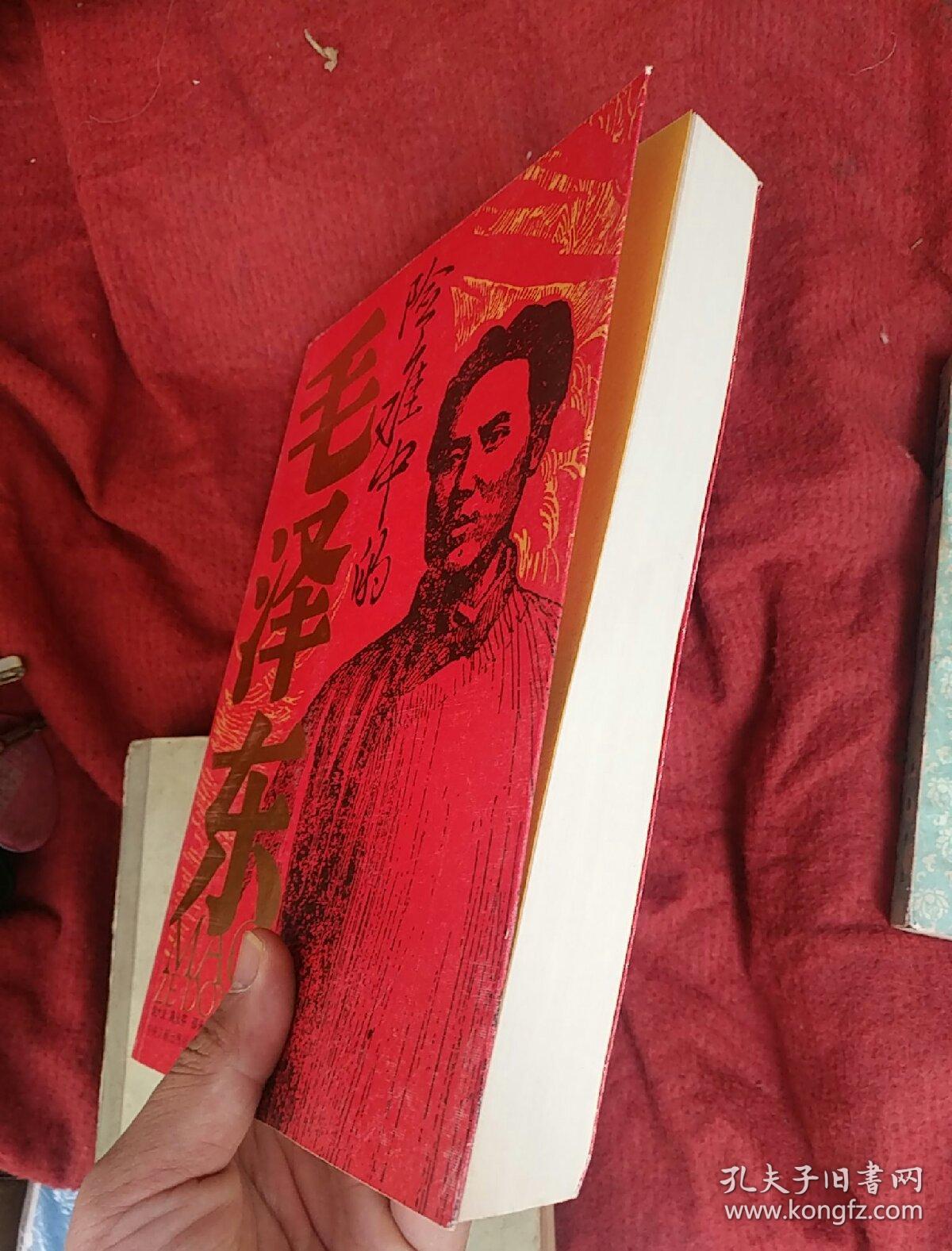 险难中的毛泽东