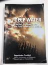 Deep Water: The Gulf Oil Disaster and the Future of Offshore Drilling