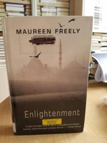 Enlightenment (Thorndike Reviewers' Choice)
