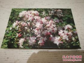 《TP9《高山花卉》特种邮资明信片》一套四枚 JYC