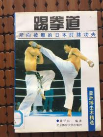 踢拳道: 所向披靡的日本肘膝功夫
