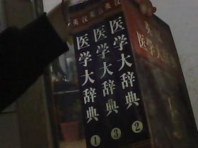 英汉医学大词典（全三册）