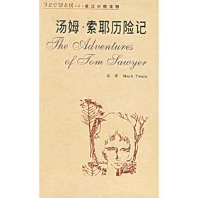汤姆·索耶历险记
