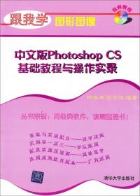 中文版 Photoshop CS 基础教程与操作实录——21世纪高职专艺术设计规划教材（附CD-ROM光盘一张）