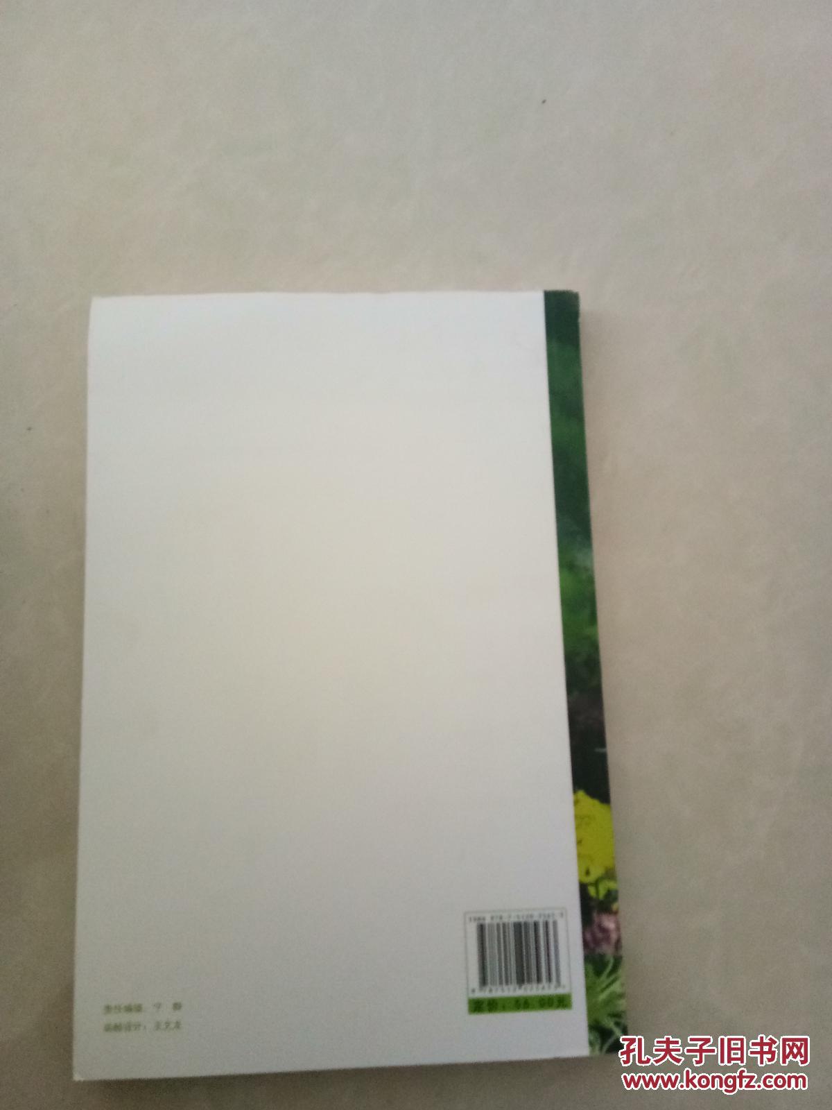 文学，人格与艺术审美--谭仲池文艺评论集