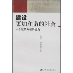 建设更加和谐的社会：一个政策分析的视角