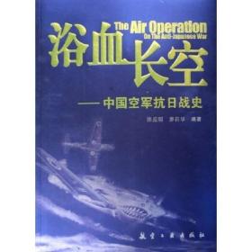 浴血长空：中国空军抗日战史