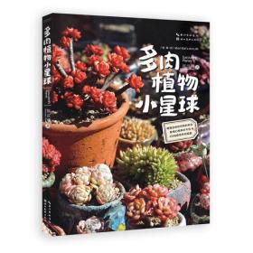 多肉植物小星球/都市园艺家