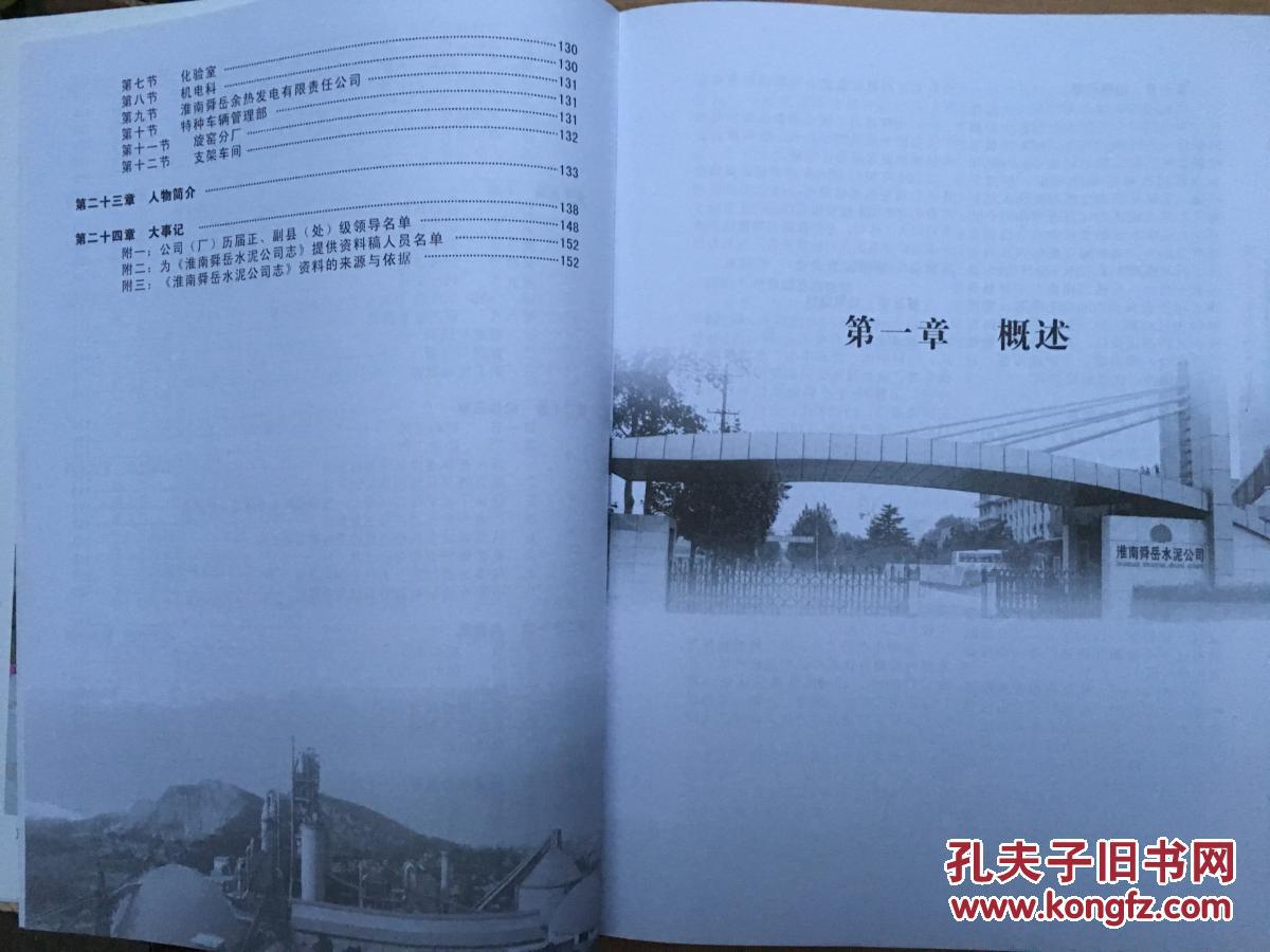 淮南舜岳水泥公司志