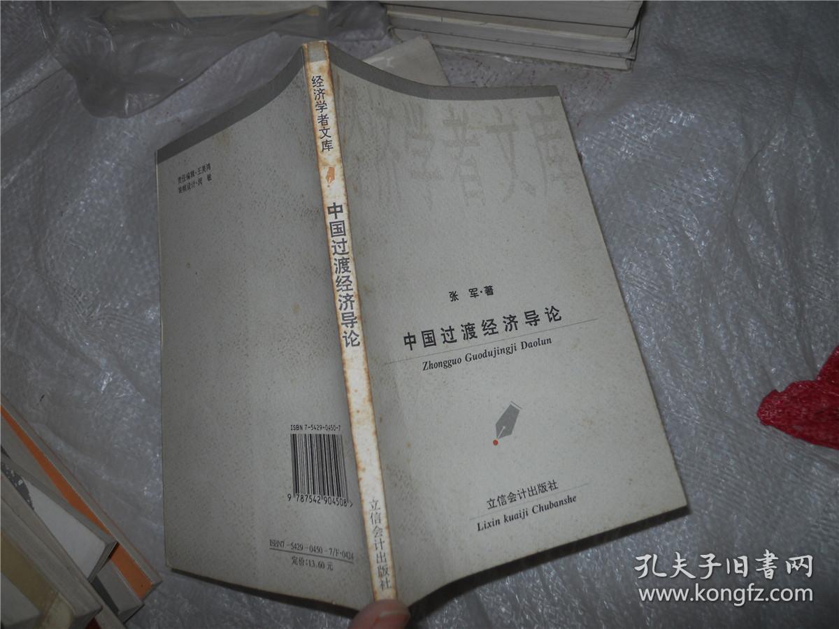 中国过度经济导论