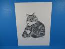 签名《笔墨油画，唐纳德·霍费尔动物系列：猫妈妈和小猫》25.5X32CM