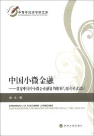 中青年经济学家文库·中国小微金融：贯穿中国中小微企业融资的规划与盈利模式设计