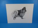 签名《笔墨油画，唐纳德·霍费尔动物系列：波美拉尼亚狗》25.5X32CM