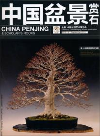 中国盆景赏石:2013-9